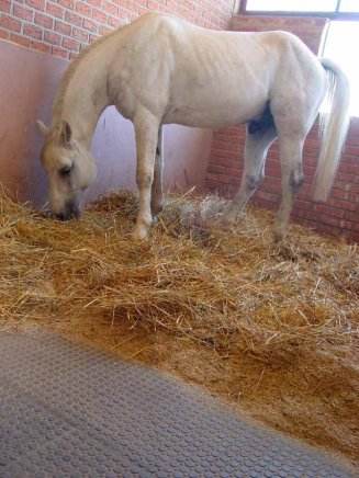 Duża płyta podłogowa typ 102, wytrzymała do dużych obciążeń - 7