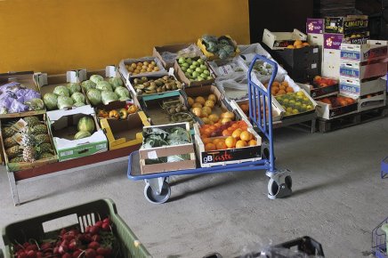 Wózek platformowy roboczy z uchwytem stalowym sw-410.011 - 3