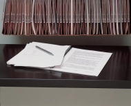 Wysuwana półka BIC08DRSPS