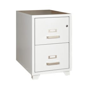 Szafa kartotekowa ognioodporna IGNIS 2