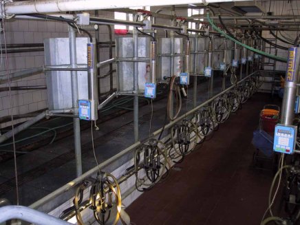 Płyta podłogowa duża typ 115 wnętrze - 9