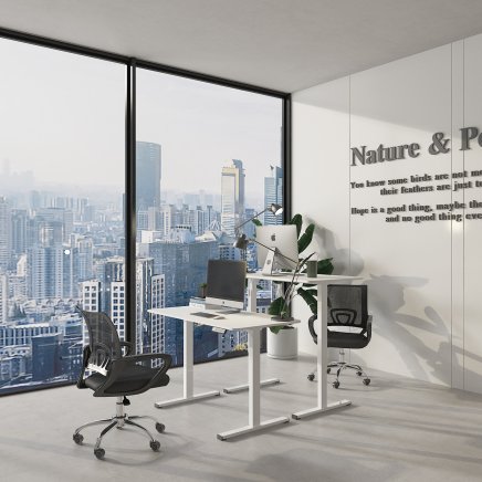 Białe biurko elektryczne z regulacją wysokości FQ2_WW - 3