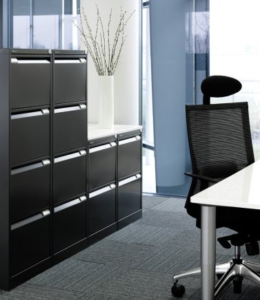 Metalowa szafka na dokumenty A4 + przegródki w komplecie - Bisley BS2E/FLS - 11