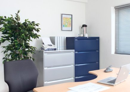 Metalowa szafka na dokumenty dwurzędowa Bisley DF3 - 5